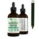 360 Voeding Matcha Chlorofyl Liquid Drops met L-Theanine, Glutenvrij en Veganistisch Internal Deodorant Supplement, Ondersteunt Gut Health, Digestie, Energie, Stralende Huid, Snelle Absorptie, 60 porties