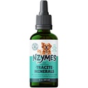 Nzymes® Tracietmineralen voor Huisdieren - Fulvinezuur, Humic Acid en op ijzer gebaseerde sporenmineraaldruppels en aminozuren voor ATP-energie en spijsverteringsgezondheid - Made in The USA
