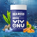 Sea Moss Black Seed Oil Ashwagandha Shilajit Ginger-Sea Moss Capsules avecBurdock Turmeric Vitamines C & D3 Gingembre de mûre ACV Manuka Dandelion-Immune System,Skin,Energy Support