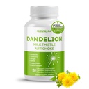 Dandelion Lait Thistle Artichaut Burdock Turmeric - Soutien Foie Santé, Soutien Aide Digestion - Fabriqué et testé aux États-Unis