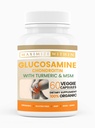 Glucosamine Chondroïtine met Kurkuma & MSM 