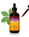 Herb Pharm Eleuthero (Siberische Ginseng) Root Liquid Extract voor energie en uithoudingsvermogen, Cane Alcohol, 4 Ounce