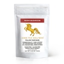 Addictive Wellness Reishi Mushroom Extract Powder + Sporen (50/50 Blend) Wood grown Pure & Potent Wildcrafted Ganoderma (100 Gram)