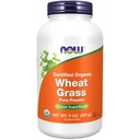 MAINTENANT compléments alimentaires, certifié biologique et non-OGM, poudre d'herbe de blé, superaliment vert, 9-Ounce