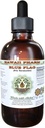 Blauwe vlag Alcoholvrije vloeibare extract, biologische blauwe vlag (Iris versicolor) Gedroogde wortel Glycerite Hawaii Pharm Natural Herbal Supplement 2 oz
