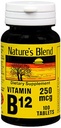 Nature's Blend NAT B Vitamine B12 TB, 100 Tellen