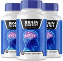 rize labs BrainFortify Supplement, BrainFortify Organic Memory Supporting Formula, Reduce The Negative Effects of Brain Fog, Brain Fortify Used to Boost Memory (180 Capsules) (pack of 3)