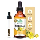 Choix botanique Extrait liquide de feuille de Mullein, sans alcool, sans gluten, soutien respiratoire traditionnel 1 Fl. Oz.