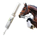 Ramard Total Energy and Stamina Support with B Vitamines & Amino Acides, Maximise la capacité d'oxygène, la performance maximale en compétition ou en entraînement, Vasodilatateur puissant, Gel oral, 15 cc Syringe, 1-Pack