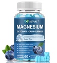 Magnesium Gummies 600mg per Serving-Magnesium Glycinate 400mg en Magnesium Malate 200mg, Sugar Free Magnesium Kalium Supplement voor Kalm Mood, Spier, Bot & Slaap Ondersteuning,60 Blueberry Gummies