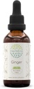 HerbEra Ginger B60 Alcoholvrije kruidenextract Tinctuur, supergeconcentreerde gember (Zingiber officinale) 2 fl oz