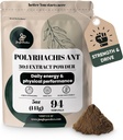Poudres de jungle Extrait de fourmi noire Poudre 30:1 Concentration, 94 portions - 5 onces de pur Polyrhachis Supplément de fourmi noire, sans remplissage Changbai Mountain Ant Traditionnel Mens Health Support for Drive