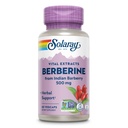 SOLARAY Berberine 500mg - Supplément Berberine pour un mode de vie sain et actif - avec Berberine HCl de la baie d'Inde - Vegan, non-OGM, garantie de 60 jours, laboratoire vérifié - 60 portions, 60 VegCaps
