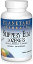 PLANETAIRE KRUIDEN Slippery Elm Lozenges, Unflavored, 200 Tellen