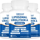 Urolithin A Supplement 1600mg bevorderen spierkracht en energieproductie, TMG voor gezonde homocysteïne niveaus en Nicotinamide riboside NAD+ Boost voor levensduur - 60 Softgels (3 flessen)