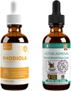 Rejuvica Health Active Rhodiola + Active Adrenal - Support Energy + Stress - Liquid Delivery for Better Absorptie - Rhodiola, Ashwagandha, Holy Basil & More!