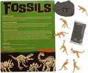 Fun Express Maak uw eigen Fossil Craft Kit - maakt 12