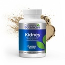 Professionele botanica Nierondersteuning - Vegan Nier Reiniging Supplement Alle natuurlijke kruiden detox en ondersteuning voor urinetrek, blaas en nieren - 120 Vegetarische capsules