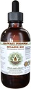 Hawaii Pharm Huang Bo Alcoholvrije Liquid Extract, Huang Bo, Huang Bai, Amur Cork Tree (Phellodendron Chinense) Bark Glycerite Natural Herbal Supplement 2 oz