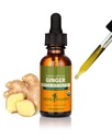 Herb Pharm Certified Biologische Gember Liquid Extract voor Digestieve Ondersteuning - 1 Ounce