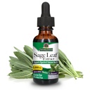 Nature's Answer Alcool Free Sage Leaf Supplement 1 Fluid Ounce Gluten Free (en anglais seulement) Support digestif (en anglais seulement) Promote la fonction mentale (en anglais seulement) Avantages Gut Health