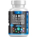 Silicium Sea Moss Black Seed Oil Ashwagandha Bladderwrack Burdock - 60 Tellen