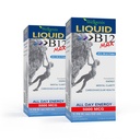Wellgenix B12 Max Liquid - Vitamine B6, B12 & Folate-haut Absorption - Santé cardiovasculaire, Clarté mentale, Augmentation d'énergie et perte de poids - 1,75oz, 2 Pack