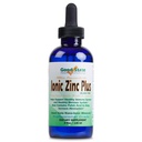 Good State Liquid Zink Plus Ultra Concentration Supplement 425, 4 fl oz, 1 Tellen