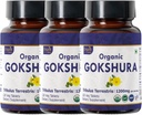 Gokshura 120 tabletten 