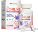 Prenatale Choline Supplement, 500 mg, met Inositol, B1, B6, Hersenontwikkeling in Utero / Early Life, Verhoog de Choline inhoud in moedermelk, 30 dagen levering