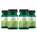Swanson L. Reuteri Probiotic Plus w/L. Rhamnosus L. Acidophilus & FOS Prebiotic Digestieve Ondersteuning - Bevordert Gut Health w/7 Miljard CFU per capsule - (30 Veggie Capsules) (4 verpakkingen)