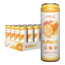 MITRA-9 Botanische Dranken - Oranje Dreamsicle Sparkling Kava Drink met Kava Wortel Extract - Mood Enhancer - Plantenbasis - Bevordert natuurlijke kalmte en helderheid (12 Fl. Oz) (24)