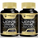 Lions Mane Supplement Capsules - 120 Telling - Mushroom Supplement, Hersensupplementen voor geheugen en focus, Lion's Mane Mushroom Capsules - Cognitive & Immune Support, Focus Supplement - 2 Pack