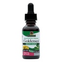 Réponse de la nature Root de seaux d'or avec de l'alcool organique 1 Fluide Ounce