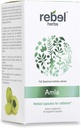 Capsules Rebel Herbs Amla (Amalaki) - Support immunitaire, végétalien, sans gluten, ayurvédique, antioxydant, amla biologique certifiée