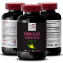 Stamina Power - TRIBULUS TERRESTRIS EXTRAITS - Énergie pour l'activité, formule de soutien énergétique, support énergétique actif, boost énergétique basé sur les plantes, puissance d'activité, boost d'entraînement actif 1 bouteille 60 comprimés