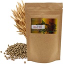 Natural Organic Brewer's Gist Pill 