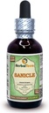 Kruidenterra Sanicle (Sanicula Europaea) Glyceriet, gedroogd Kruidenalcoholvrije vloeistof Extract 2 oz