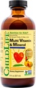 KINDLIFE ESSENTIALS Kids Multivitamine & Mineraal - Kids Vitaminen, Vloeibare Multivitamine voor kinderen, Peuter Multivitaminen, Vloeibare Vitaminen, Baby Multivitamine - Natuurlijk Oranje & Mango, 8 Fl Oz (pakket van 1)