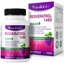 Resvératrol 100% naturel - 1480mg Par portion, 90 Capsules de Véggie, 99 % Trans-Resvératrol pur, Antioxydant pour le vieillissement en santé, le cerveau et le soutien cardiaque