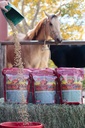 Megadosis 40 lb, Equine Vitamine Mineral met een volledige portie Horse Guard Supplement & Hoof Guard