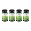 Swanson Bacillus Coagulans - Supplément probiotique naturel à l'appui de la santé digestive w/ 6 Million UFC - Peut soutenir l'IG et la santé globale de l'intestin - (60 Capsules de Veggie) 4 Pack
